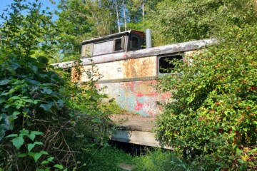 A rusty caboose in a forest is slowly being overtaken by brush