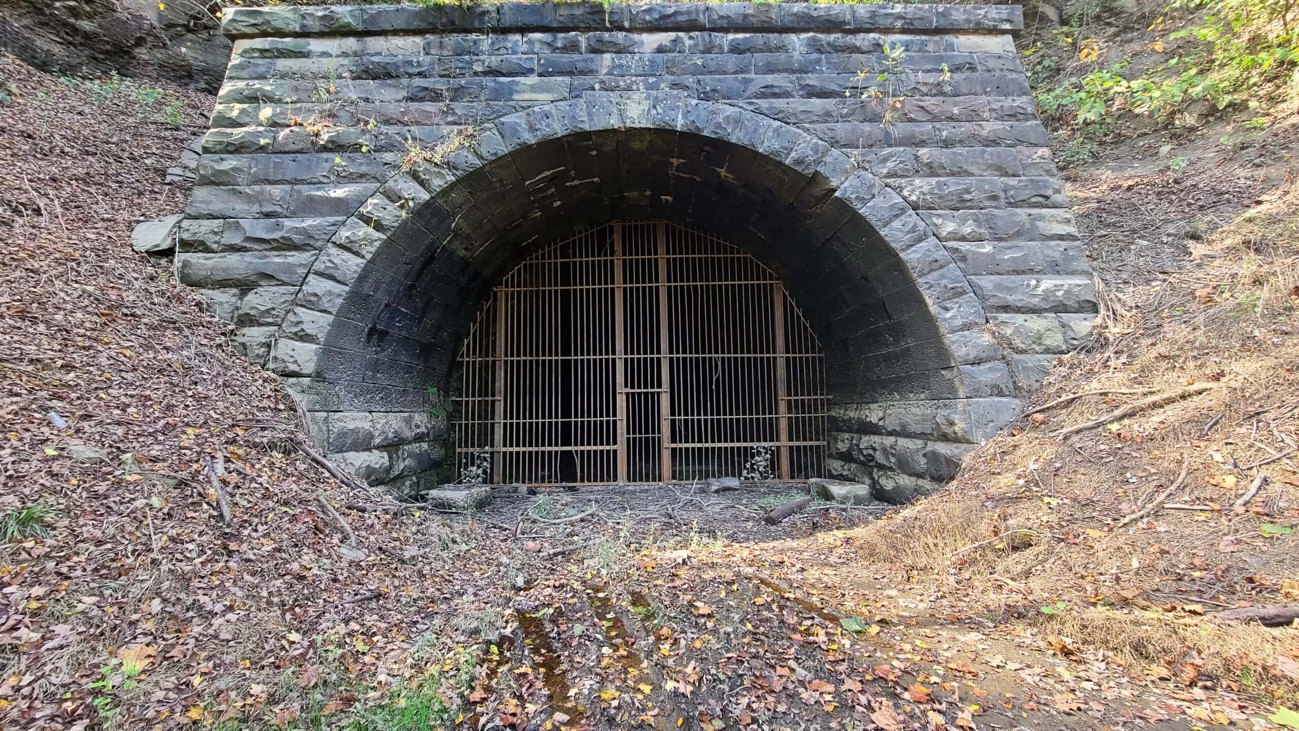 The eastern portal of the 1907 railroad tunnel. Logs and other debris are present near the gate.